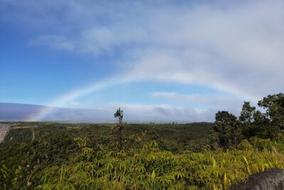 Private Shore Excursion Tour: Hawaii Volcanoes National Park - Steam vents and lava flows: how to get more out of the walking