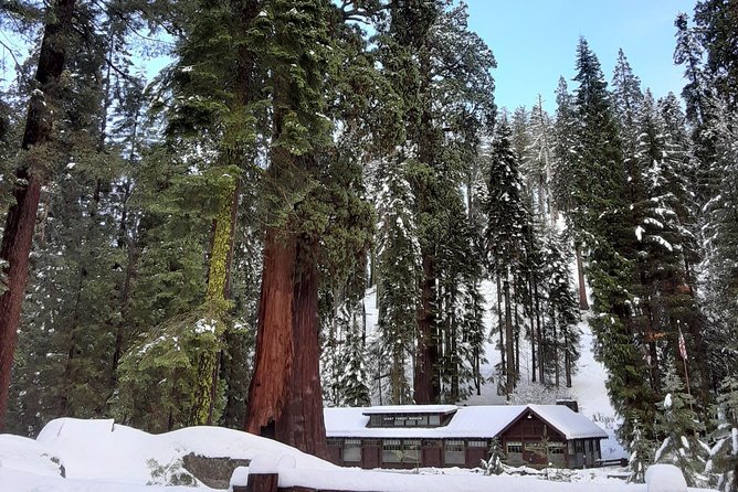 Private Snowshoe Adventure - Sequoia National Park - Why Giant Forest Snowshoe Days Feel Different Than Other Park Hikes