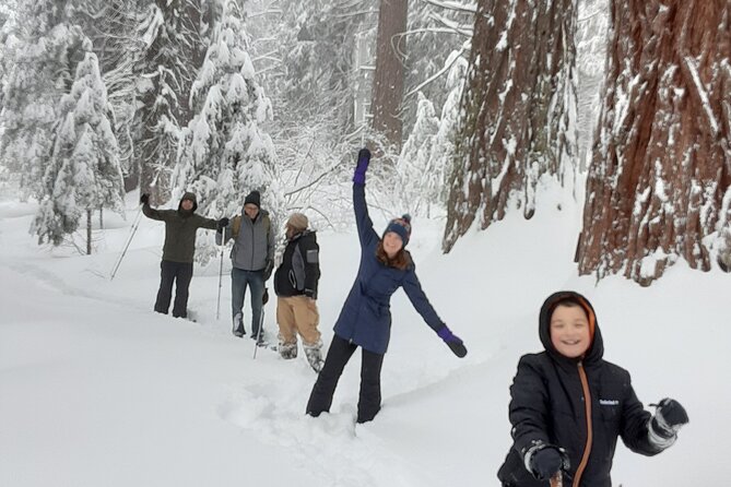 Private Snowshoe Adventure - Sequoia National Park - Gear Included: Snowshoes, Trekking Poles, Ice Cleats, and Warm Drinks