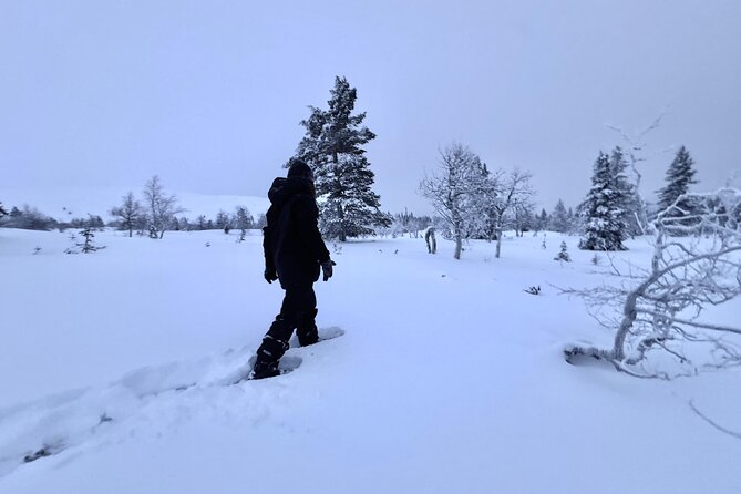Private: Snowshoeing Safari in spectacular National Park - Private Snowshoeing in Levi: the simple, high-comfort setup
