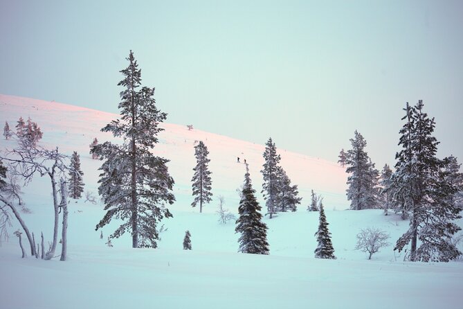 Private: Snowshoeing Safari in spectacular National Park - The warm hut break: fire, snacks, and a reset from the cold
