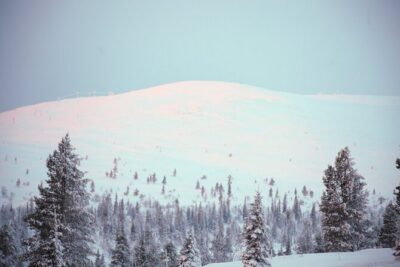 Private: Snowshoeing Safari in spectacular National Park - Snowshoeing in Pallas fells: what 2 hours feels like on the ground