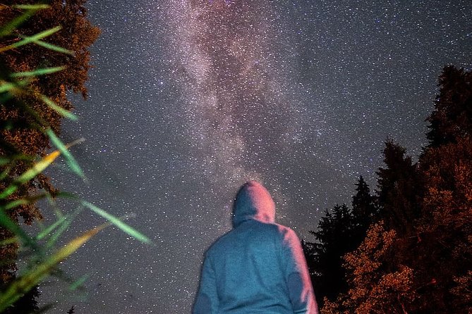 Private Stargazing - Sequoia National Park - Gear That Makes the Difference: Red Light, Binoculars, Reclining Comfort