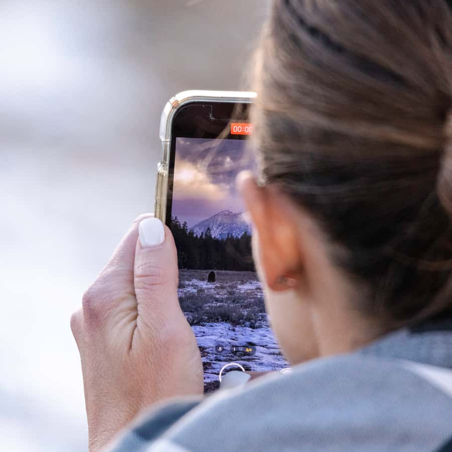 Private Sunrise Tour of Grand Teton National Park - The gear and the guide: spotting scopes, binoculars, and smart eyes
