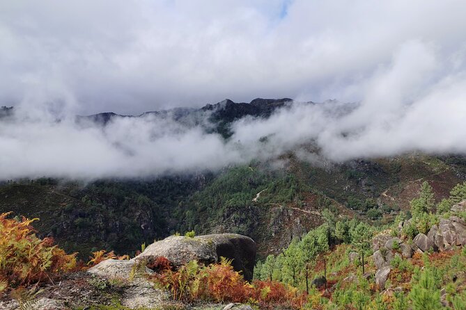 Private / tailor made experience in Gerês National Park - Price and logistics: what $285.94 buys you (and what it doesn’t)
