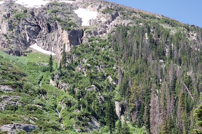 Private Three Hour Afternoon Custom Tour of Rocky Mountain National Park - 1: Estes Park pickup to RMNP entry, minus the day-planning headache