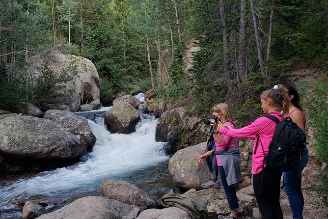 Private Three Hour Afternoon Custom Tour of Rocky Mountain National Park - 3: Wildlife spotting game plan: moose, elk, deer, and more