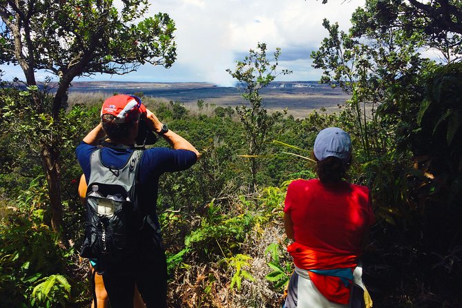 Private Tour: Hawaii Volcanoes National Park Eco Tour - Volcano House start: where your guide turns time into understanding