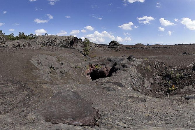 Private Tour: Hawaii Volcanoes National Park Eco Tour - Stop 3: Halemaumau Trail and the caldera story in real time