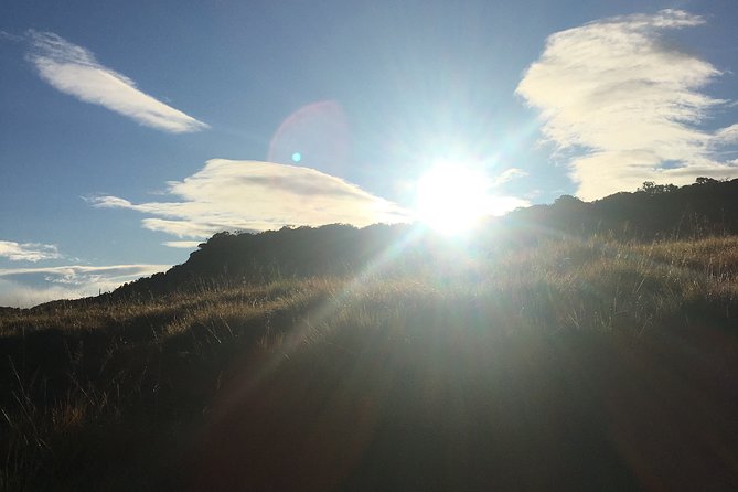 Private Tour in Horton Plains National Park & World's End Tour with Pick up - Key Highlights at a Glance