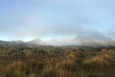 Private Tour in Horton Plains National Park & World's End Tour with Pick up - From Nuwara Eliya to Horton Plains: that early start and 32 km ride