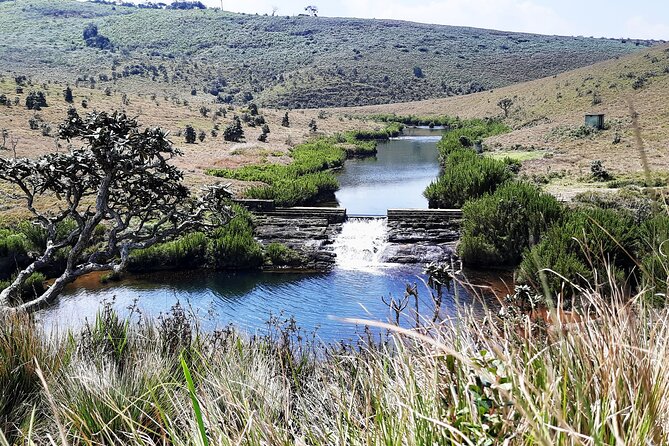 Private Tour in Horton Plains National Park ( World's End) with Pickup - Getting there: private pickup and an air-conditioned ride