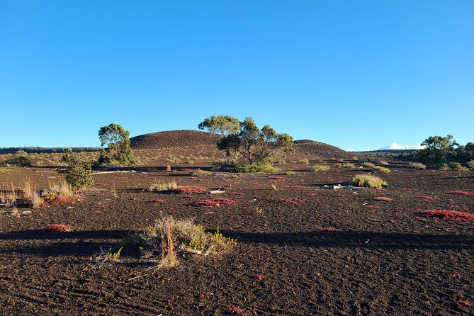 Private Tour of Hawaii Volcanoes National Park - Photography and Timing: Morning Starts Pay Off
