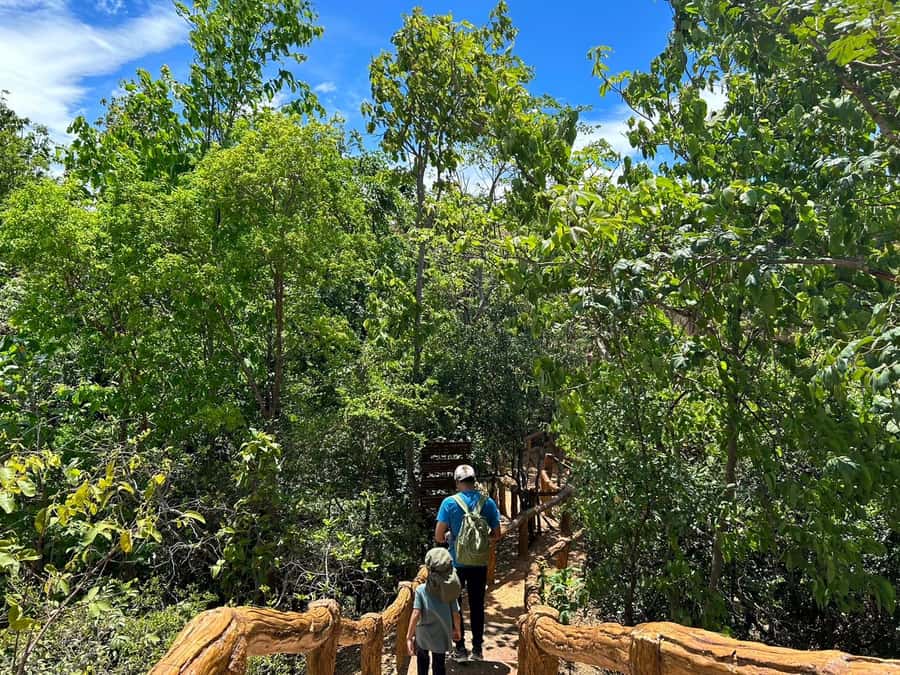 Private Tour Pha Chor Canyon & Doi Inthanon National Park - Lunch and food breaks: included, with room for local tastes