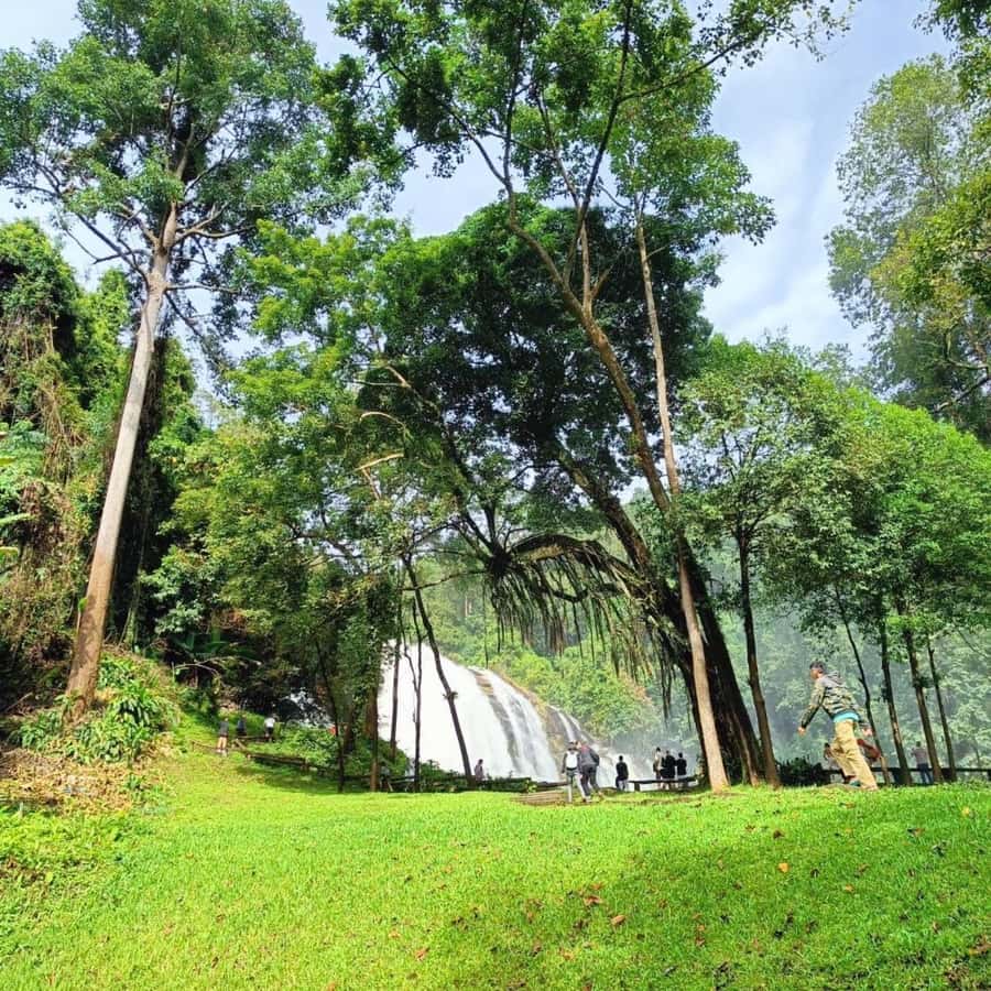 Private Tour Pha Chor Canyon & Doi Inthanon National Park - Price and logistics: what $151 covers in the mountains