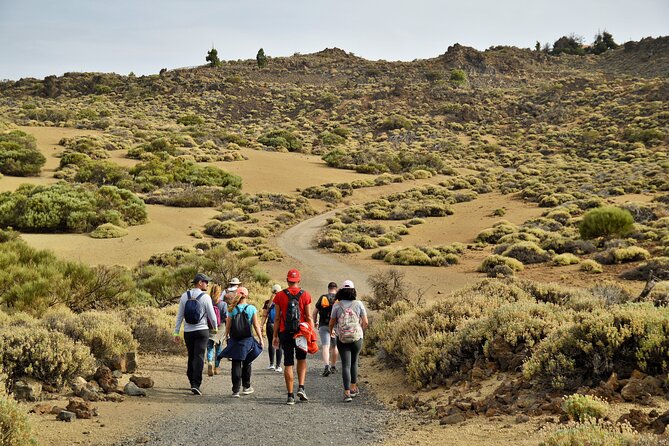 PRIVATE TOUR Teide National Park: Hiking and Stargazing - Inside Teide National Park: a film-like start and an intermediate climb