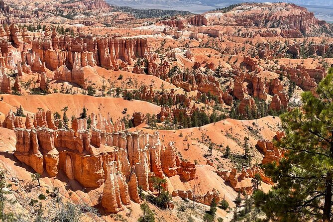 Private Tour to Zion National Park from Las Vegas - Why this private Zion day trip works from Las Vegas