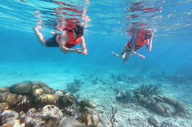 Private Tour Tulum Ruins and Snorkeling in National Park - Who This Tour Fits Best (and Who Might Want Another Plan)