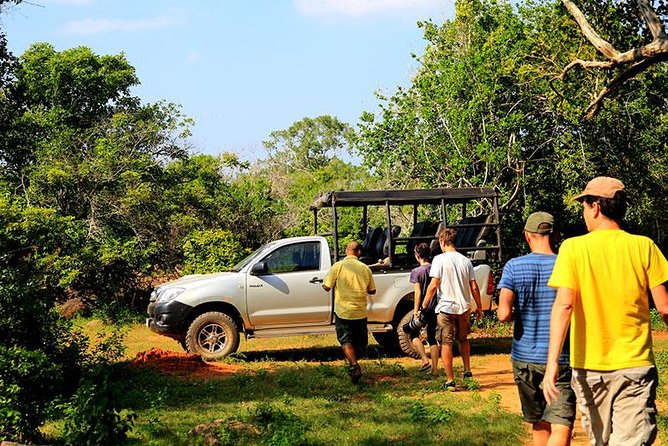Private Tour: Yala National Park Safari - Private Yala Safari vs. the Usual Group Ride