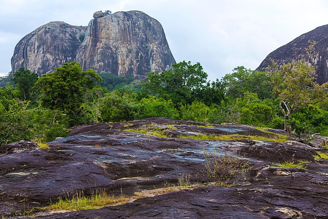 Private Tour : YALA National Park with Experienced Driver/Guide - Price and Value: $98 Per Person With a Safari Reality Check