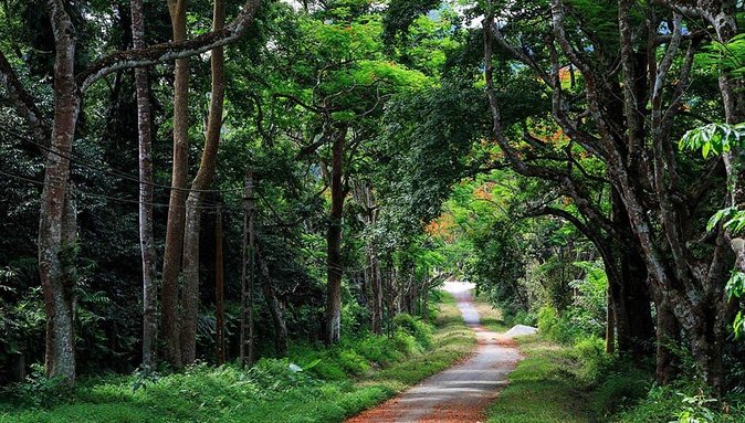 Private Transfers Full Day Hanoi - Ba Vi National Park - Hanoi - Ba Vi From Hanoi: the real value is time, not tickets