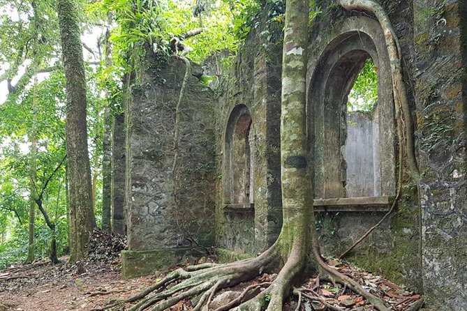 Private Transfers Full Day Hanoi - Ba Vi National Park - Hanoi - Fog, clouds, and timing: when the park mood changes