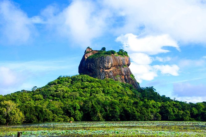 Private Trip to Sigiriya, Dambulla & safari from Colombo/ Negombo - Driver and vehicle experience: why it matters more than you think