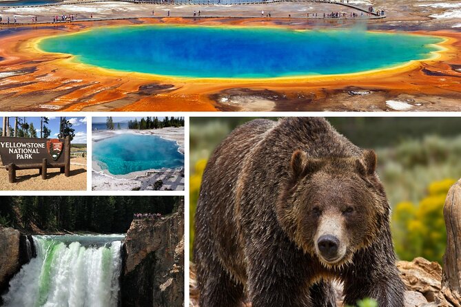 Private Upper Loop Tour of Yellowstone National Park - Key things that make this Yellowstone day work
