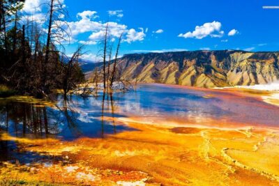 Private Upper Loop Tour of Yellowstone National Park - Choosing your loop: Upper vs Lower vs Grand Loop options