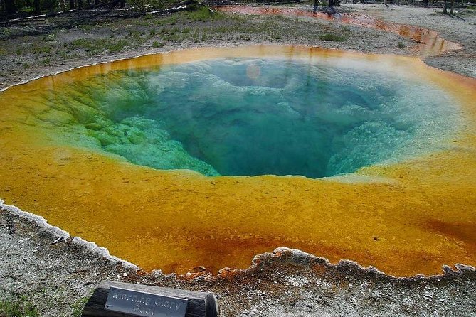 Private Upper Loop Tour of Yellowstone National Park - Mount Washburn / Dunraven Pass: panoramic views and high-country wildlife
