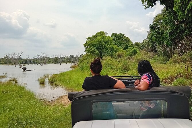 Private Wilpatu National Park Leopard safari from Colombo/Negambo - Costs and Logistics: The $78 Price vs Your Real Safari Budget
