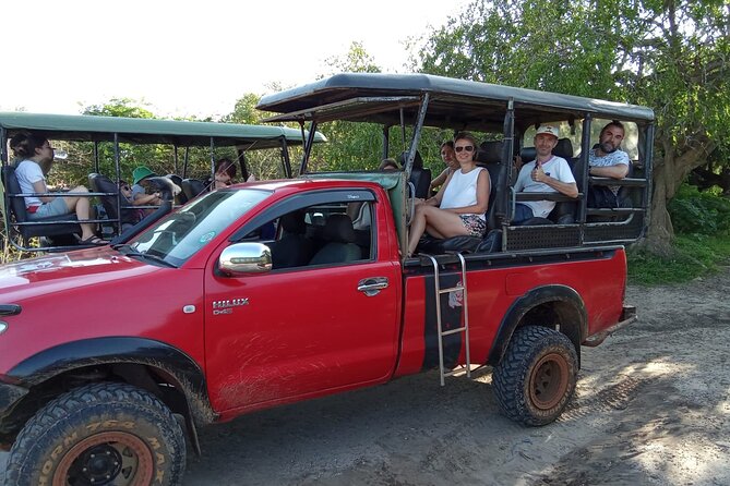 Private Wilpatu National Park Leopard safari from Colombo/Negambo - The Schedule That Actually Works: Lunch, Then the Game Drive