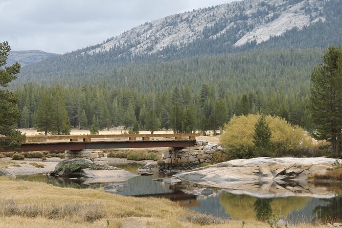 Private Yosemite National Park Day Trip from San Francisco - Yosemite Valley With a Guide: 1 Hour on the Bus, Then Your Choice