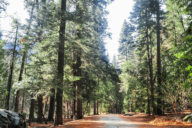 Private Yosemite National Park Day Trip from San Francisco - Sequoias, Ansel Adams, and the Ones Who Came Before