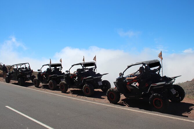 Puerto de la Cruz: Buggy Teide Day National Park - Stop 3: Teide National Park and the hour at Mount Teide