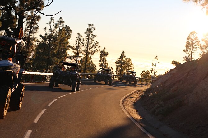 Puerto de la Cruz: Buggy Teide Day National Park - Getting oriented: meeting point and how the pickup fits