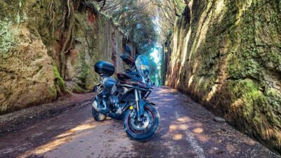 Puerto de la Cruz Motorbike tour through Teide National Park - Choosing the right ride: motorcycle vs scooter for your license