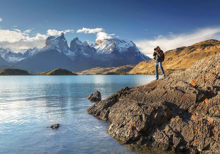 Puerto Natales: Full day tour Torres del Paine National Park - Wildlife spotting: how to do it without stopping your whole day