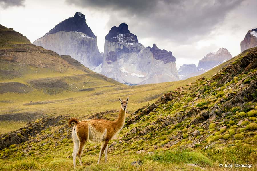 Puerto Natales: Full day tour Torres del Paine National Park - Wind, layers, and shoes: the practical checklist that actually matters