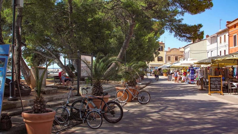 Pula: Brijuni National Park Cruise, Lunch and Fažana Beach - Price and value: is $62 worth it?