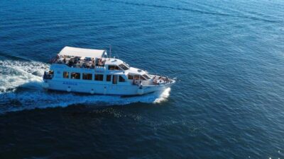 Pula: Brijuni National Park Dolphin Watching Tour w/Dinner - The Arena boat: terraces, bar, and where to watch from