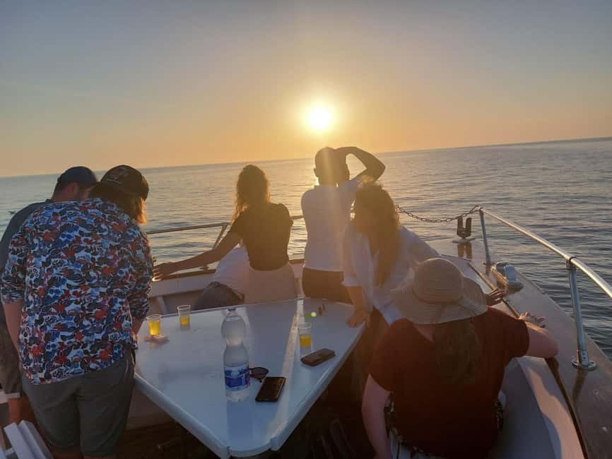 Pula: Brijuni National Park Dolphin Watching Tour w/Dinner - Brijuni National Park from the water: views without dock time