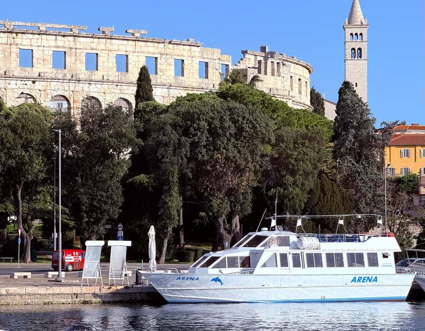 Pula: Brijuni National Park Dolphin Watching Tour w/Dinner - Dolphin watching at dusk: how to maximize your odds