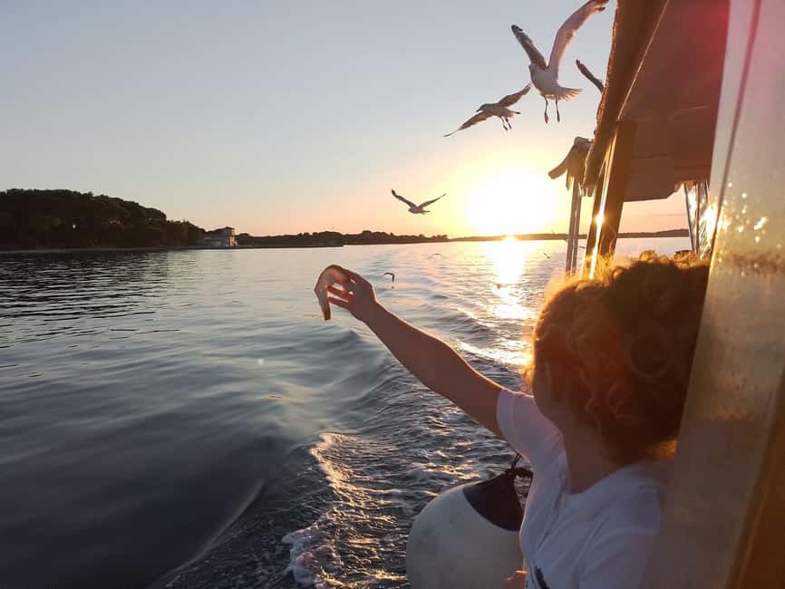 Pula: Brijuni National Park Dolphin Watching Tour w/Dinner - Price and logistics: is $62 worth your evening?