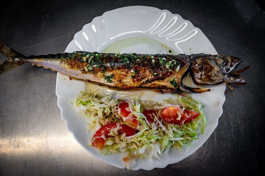 Pula: Brijuni National Park Sunset, Dolphins & Dinner Cruise - Key things to know before you go