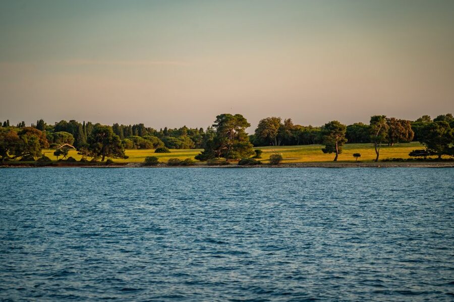 Pula: Brijuni National Park Sunset, Dolphins & Dinner Cruise - Brijuni National Park: Islands, Fish, and the Dolphin Search