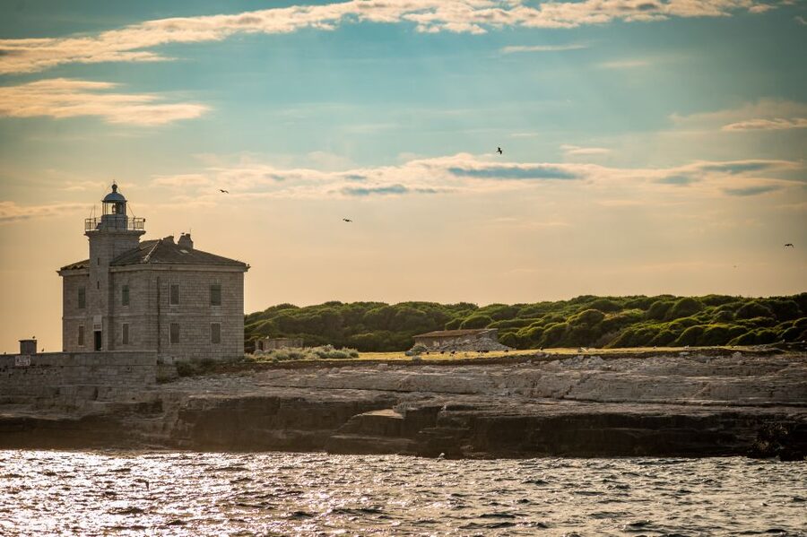 Pula: Brijuni National Park Sunset, Dolphins & Dinner Cruise - Drinks and the Onboard Vibe: Why It Feels Like More Than “Just a Boat”