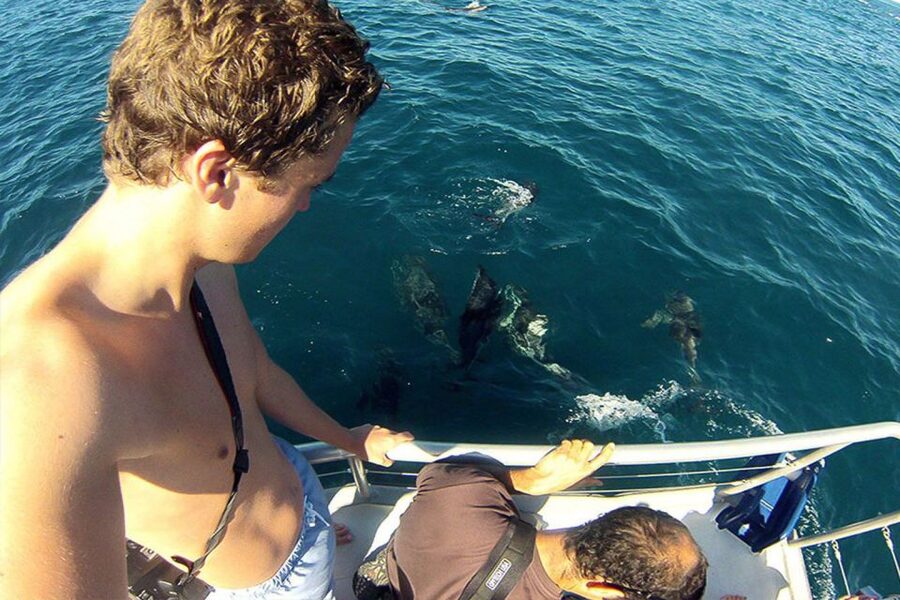 Pula: National Park Brijuni Dolphin Cruise with Dinner - Price and value: why $67 can make sense here