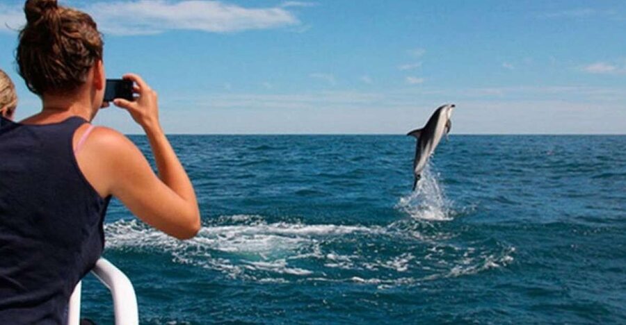 Pula: National Park Brijuni Island Visit & Dolphin Cruise - Why Brijuni From Pula Feels Like a Coastal Reset