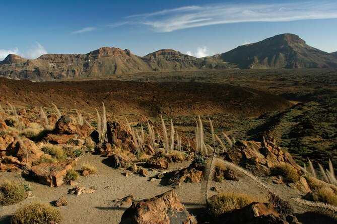 Quad safari Teide National Park - Quad Safari Teide National Park: the real point of the ride